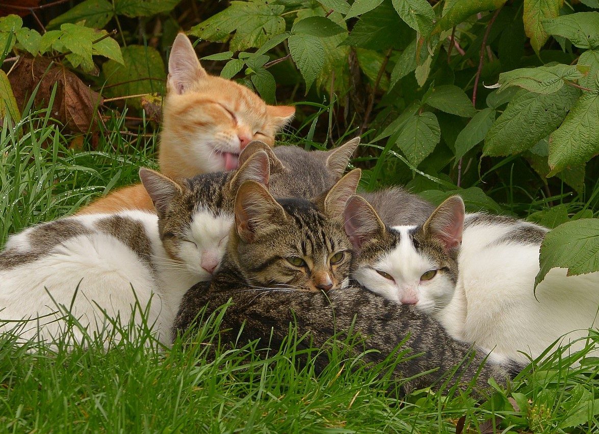 Nap time!