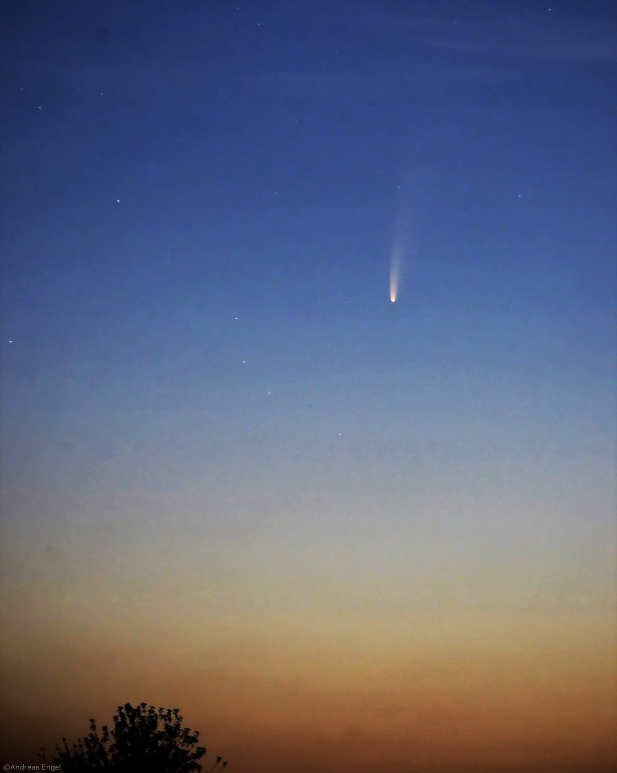 The comet early in the morning, Aug, 2020